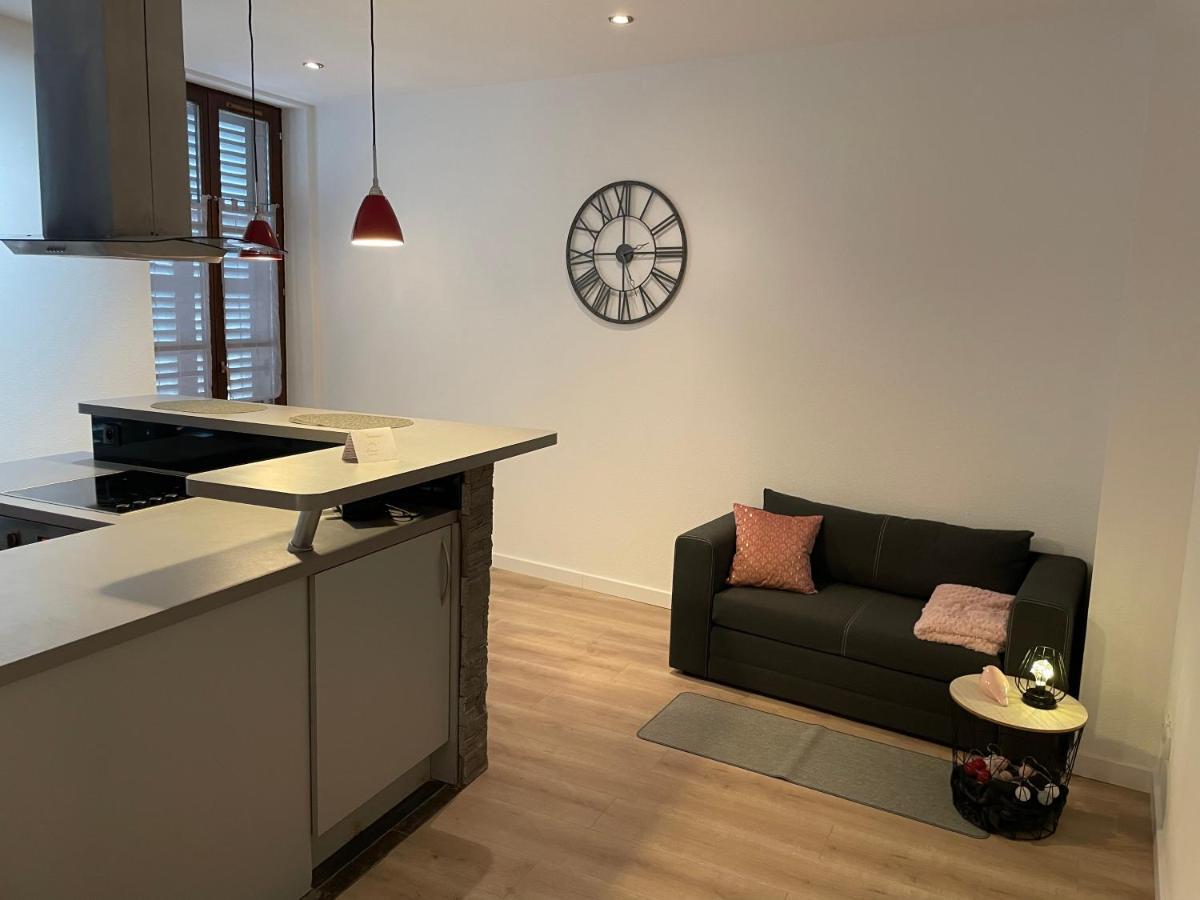 Chaleureux F2 Dans L'Hypercentre Colmarien Apartment Bagian luar foto