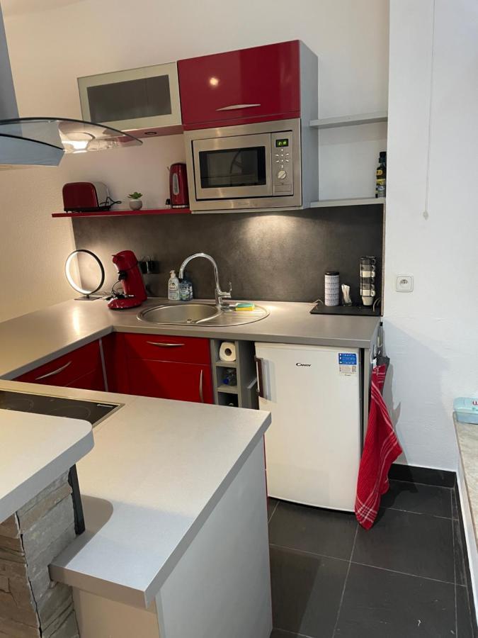 Chaleureux F2 Dans L'Hypercentre Colmarien Apartment Bagian luar foto